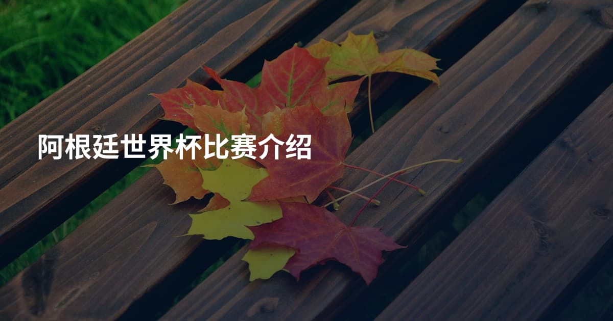 阿根廷世界杯比赛介绍