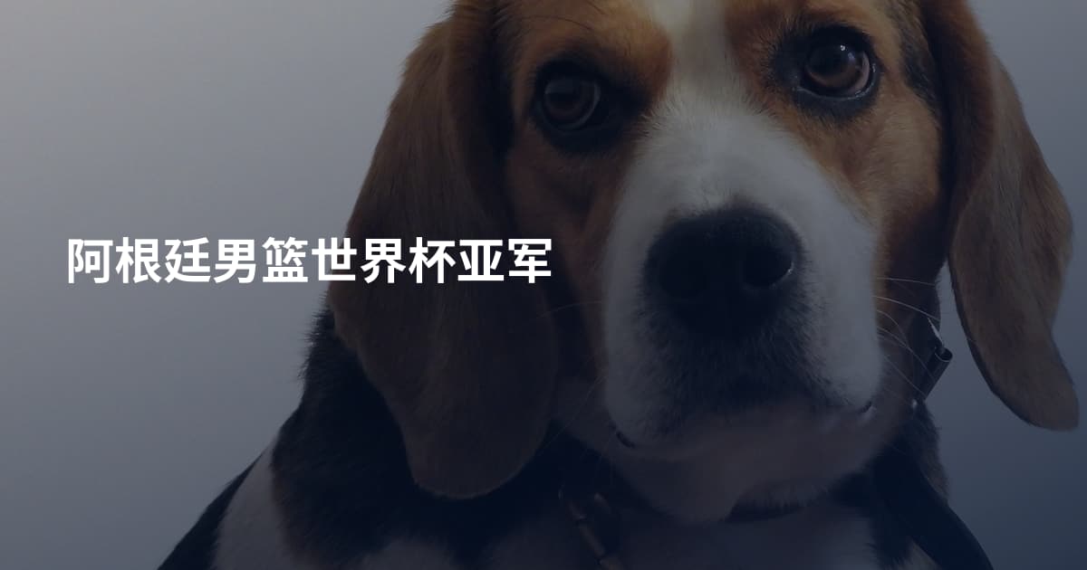 阿根廷男篮世界杯亚军