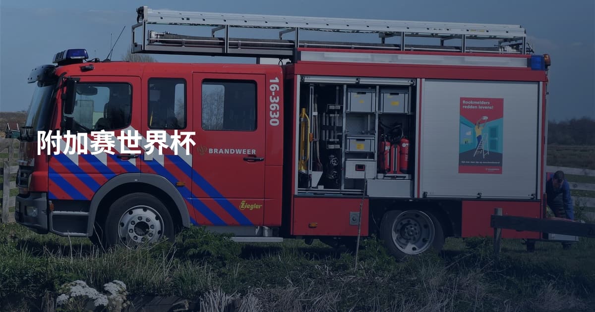 附加赛世界杯