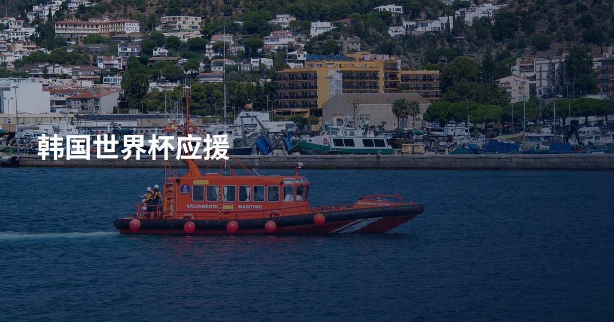 韩国世界杯应援