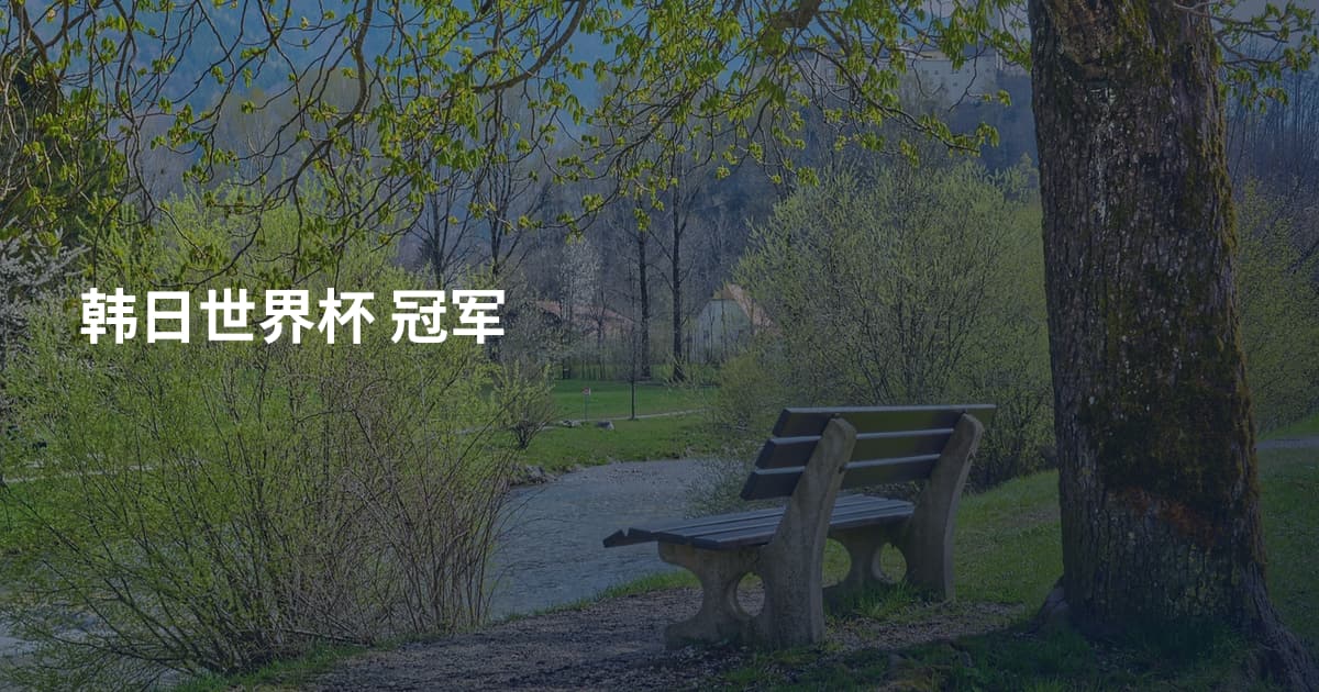 韩日世界杯 冠军