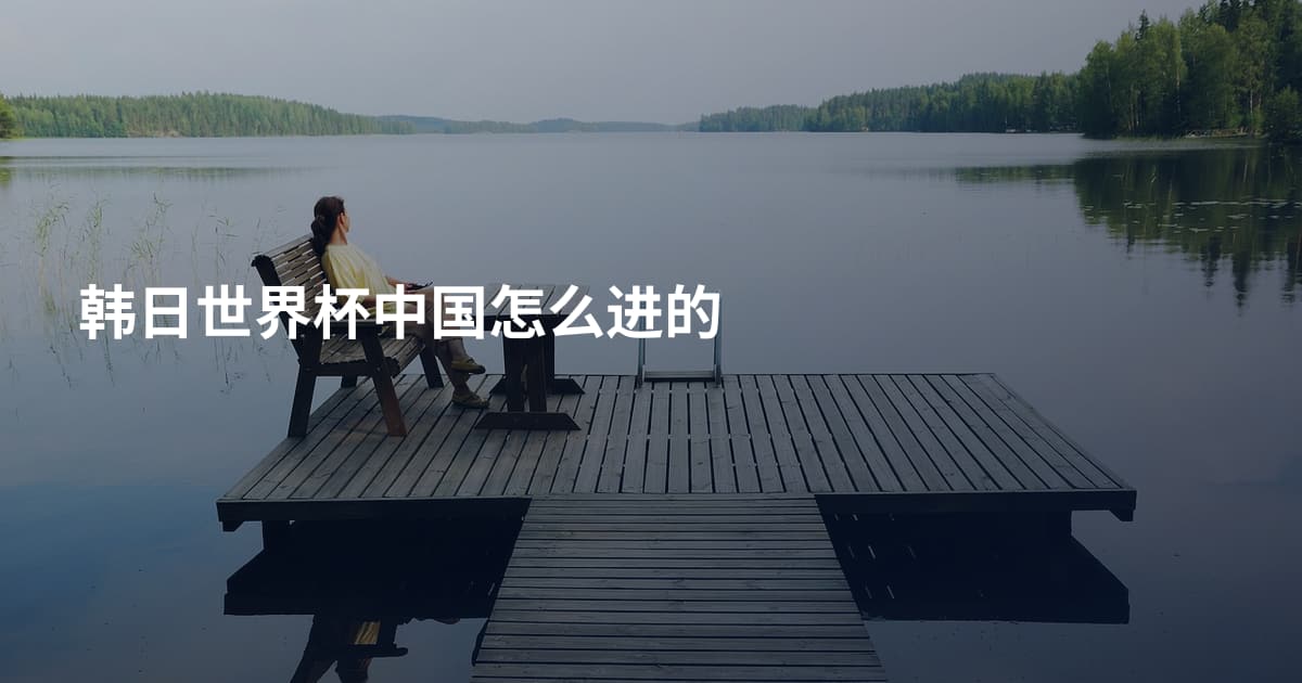韩日世界杯中国怎么进的