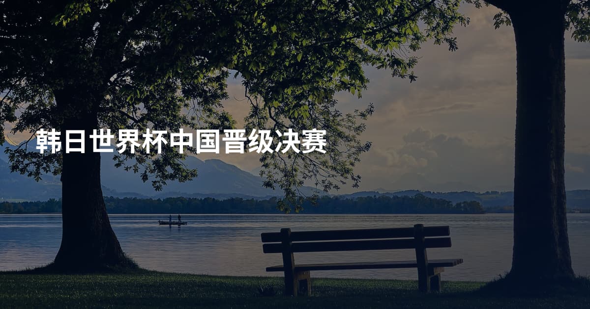 韩日世界杯中国晋级决赛
