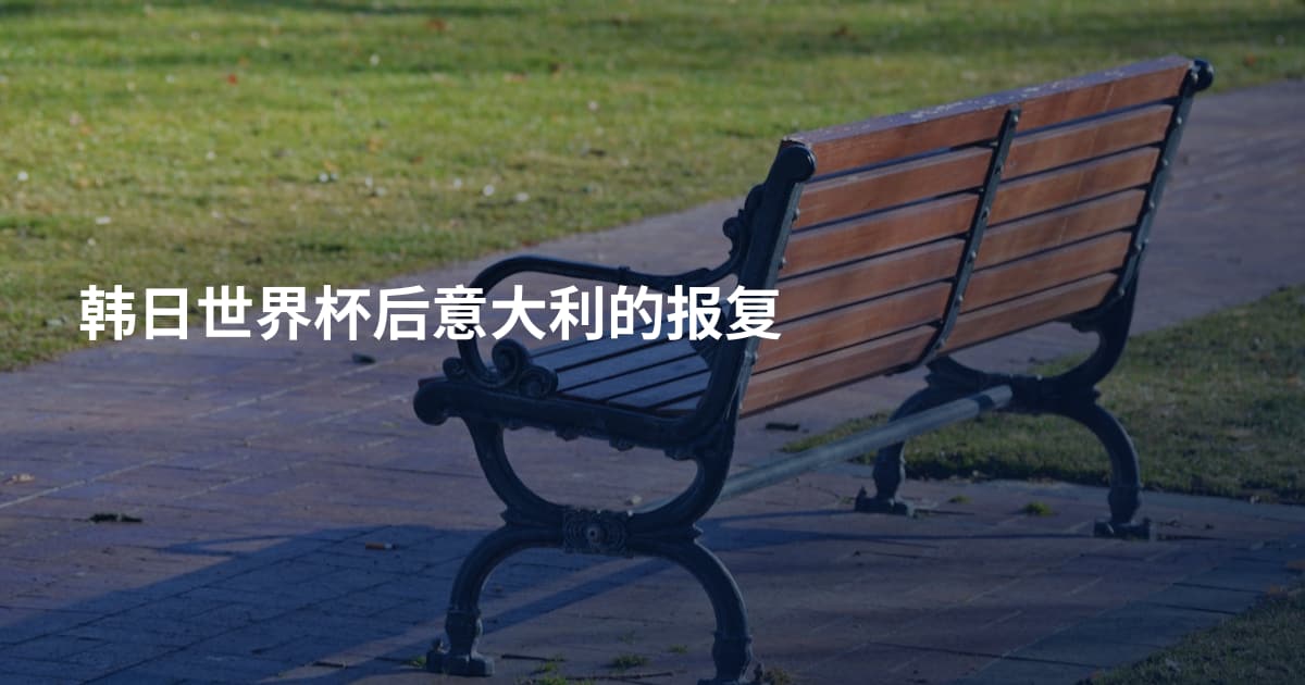 韩日世界杯后意大利的报复