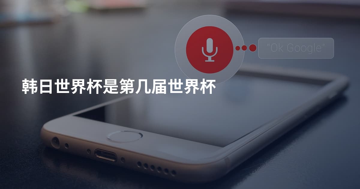 韩日世界杯是第几届世界杯