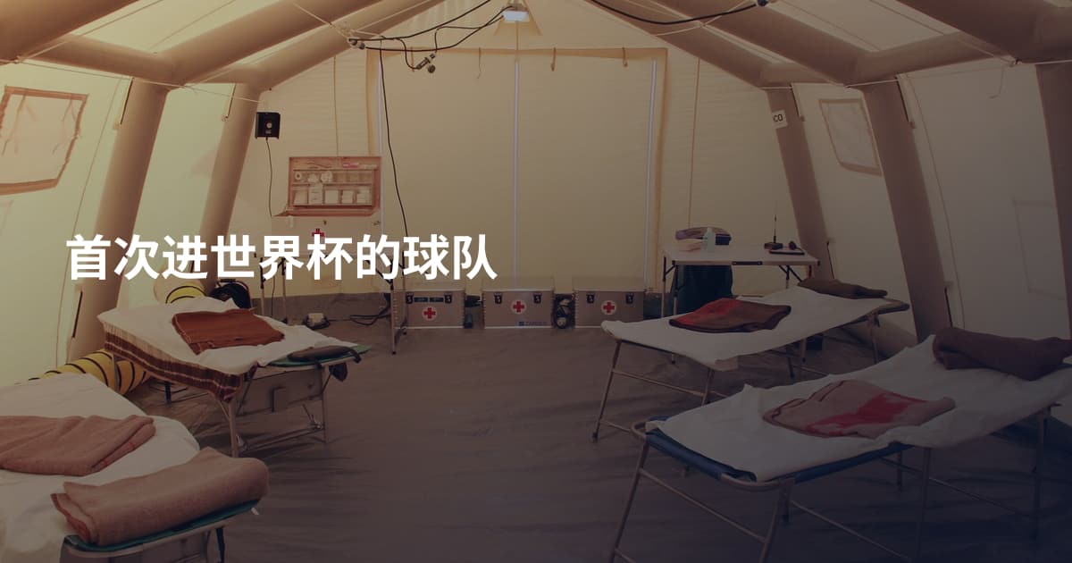 首次进世界杯的球队
