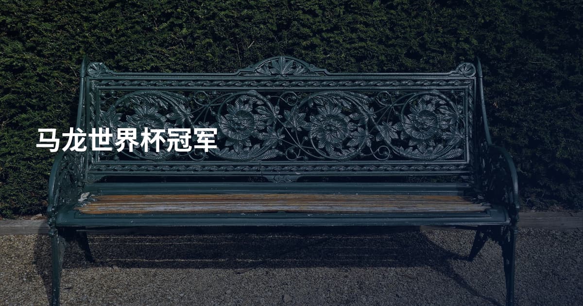 马龙世界杯冠军