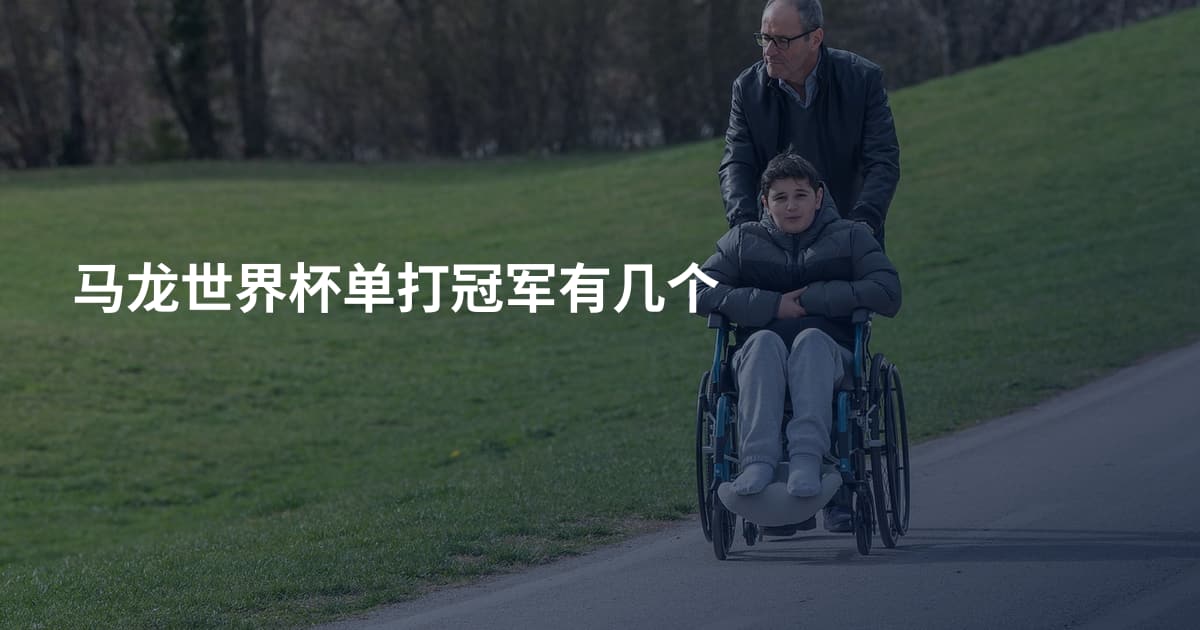 马龙世界杯单打冠军有几个
