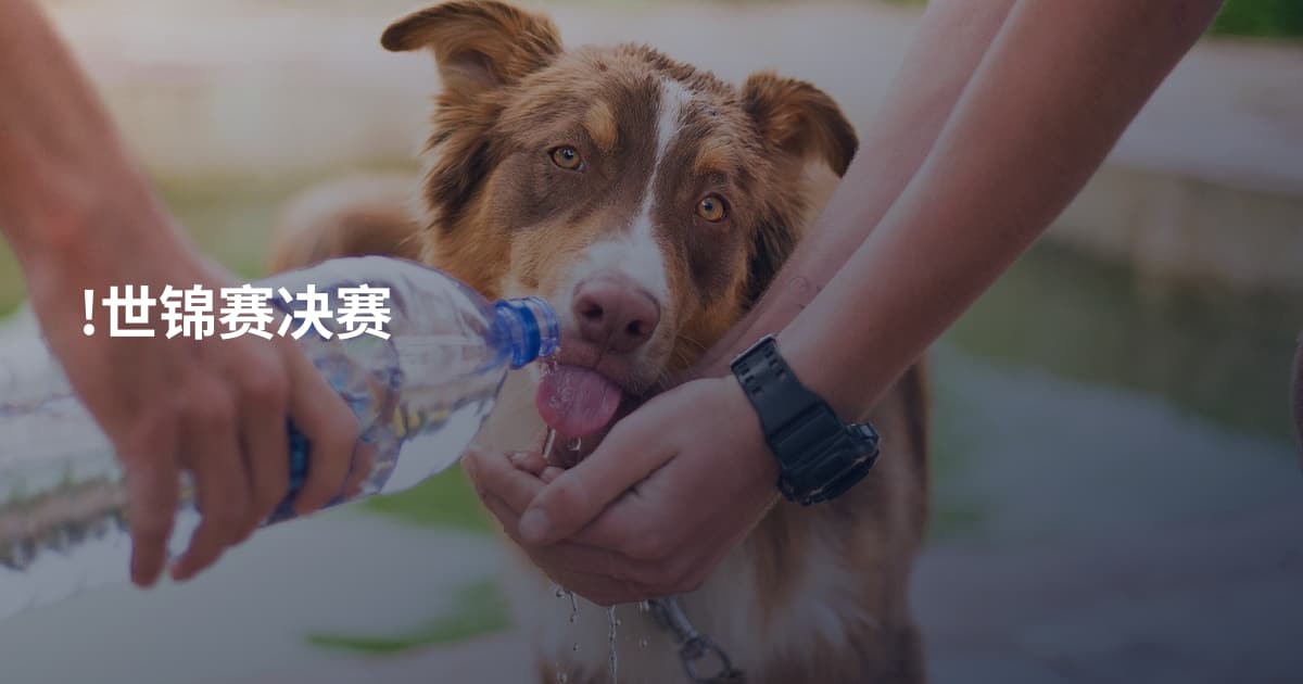 !世锦赛决赛