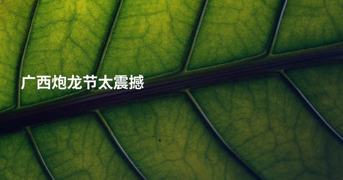 广西炮龙节太震撼