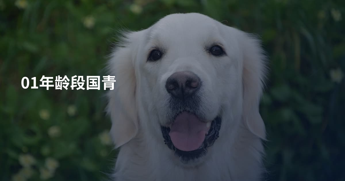 01年龄段国青