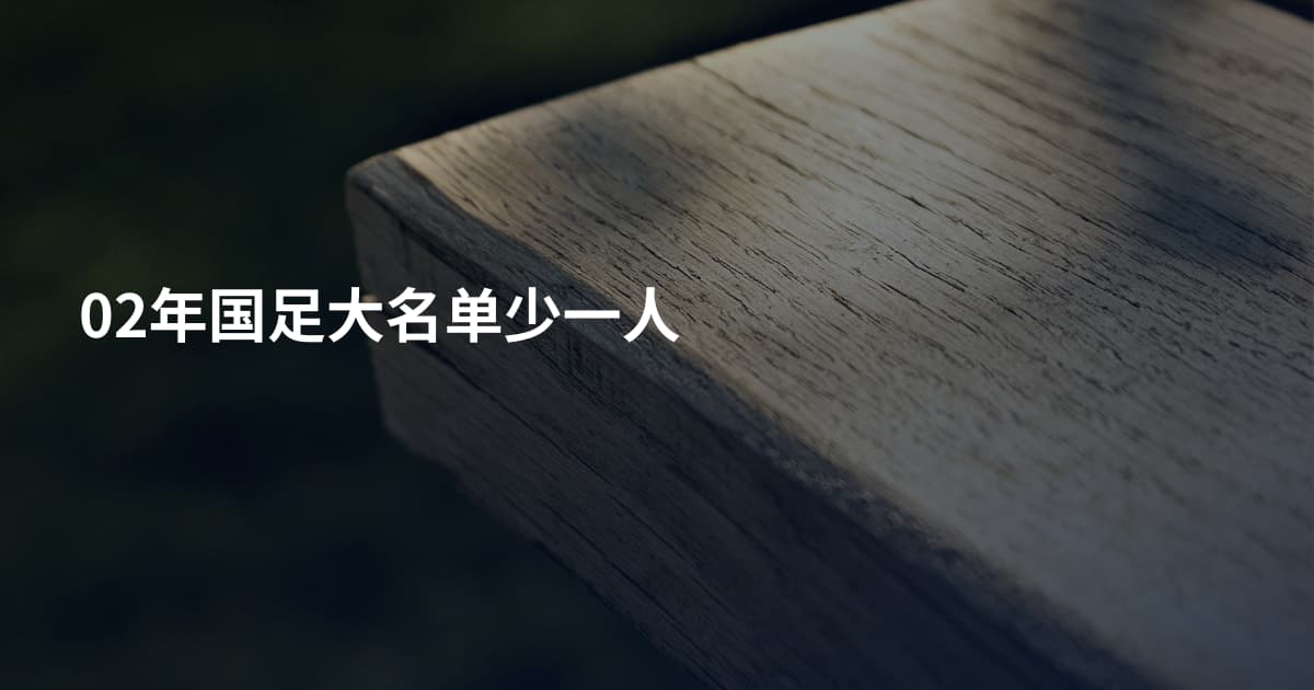 02年国足大名单少一人