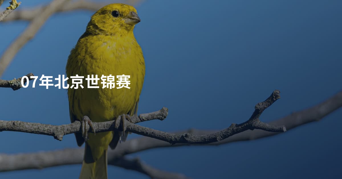 07年北京世锦赛