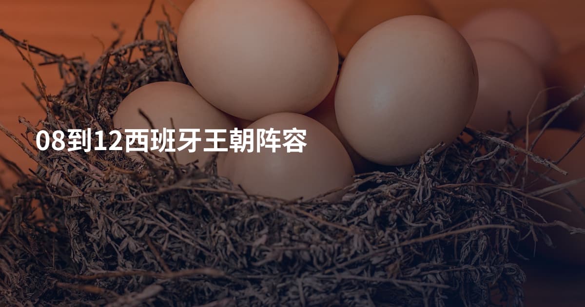08到12西班牙王朝阵容