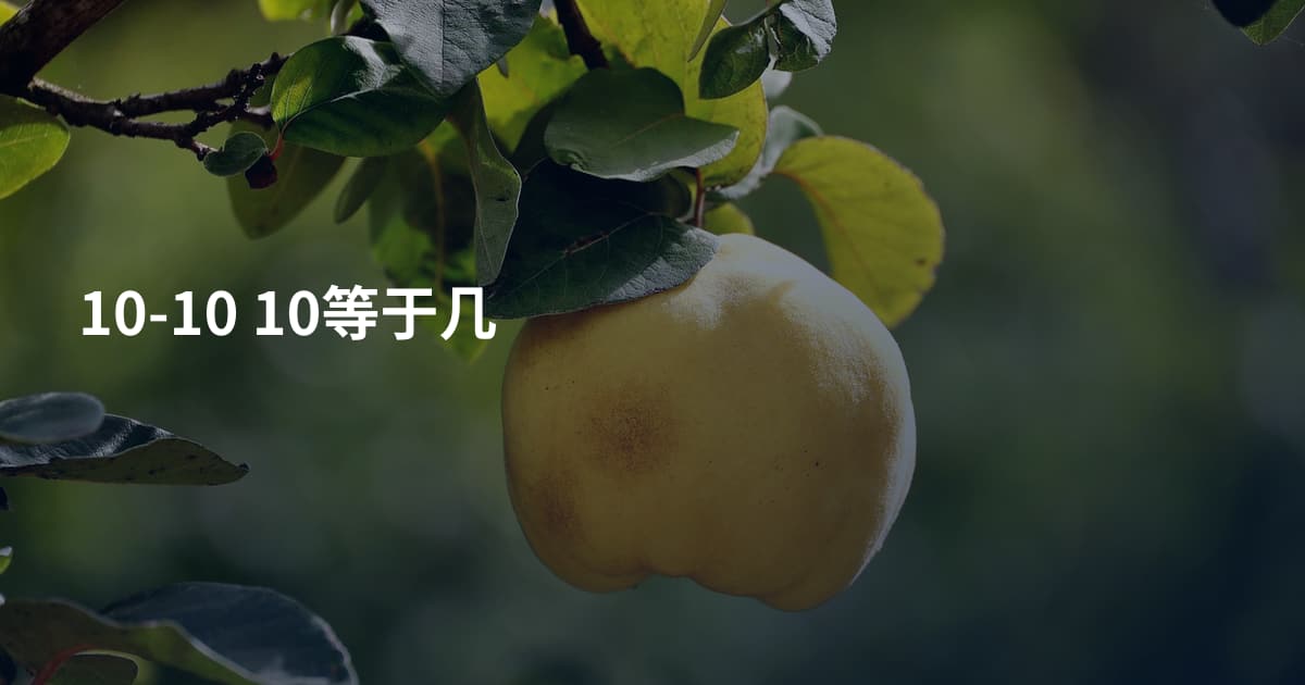 10-10 10等于几