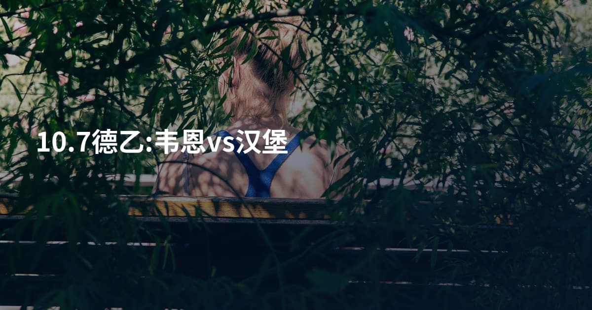 10.7德乙:韦恩vs汉堡