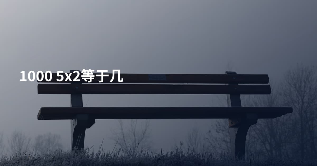 1000 5x2等于几
