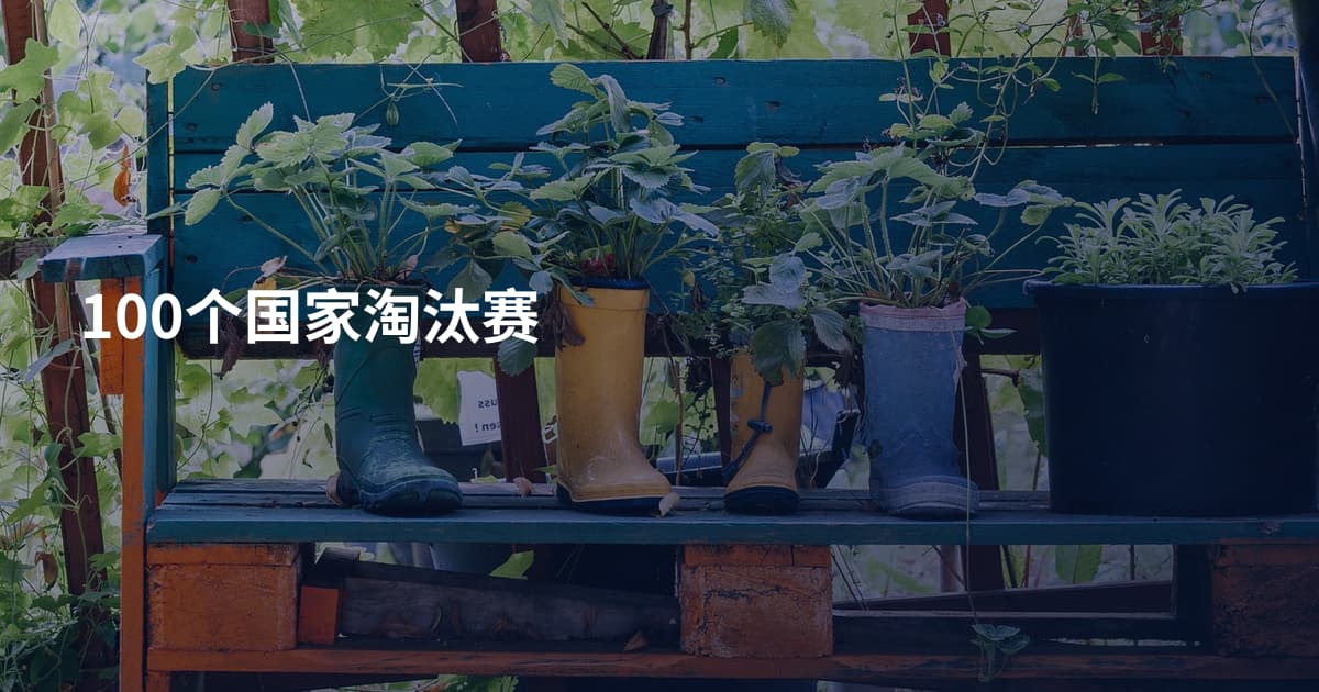 100个国家淘汰赛