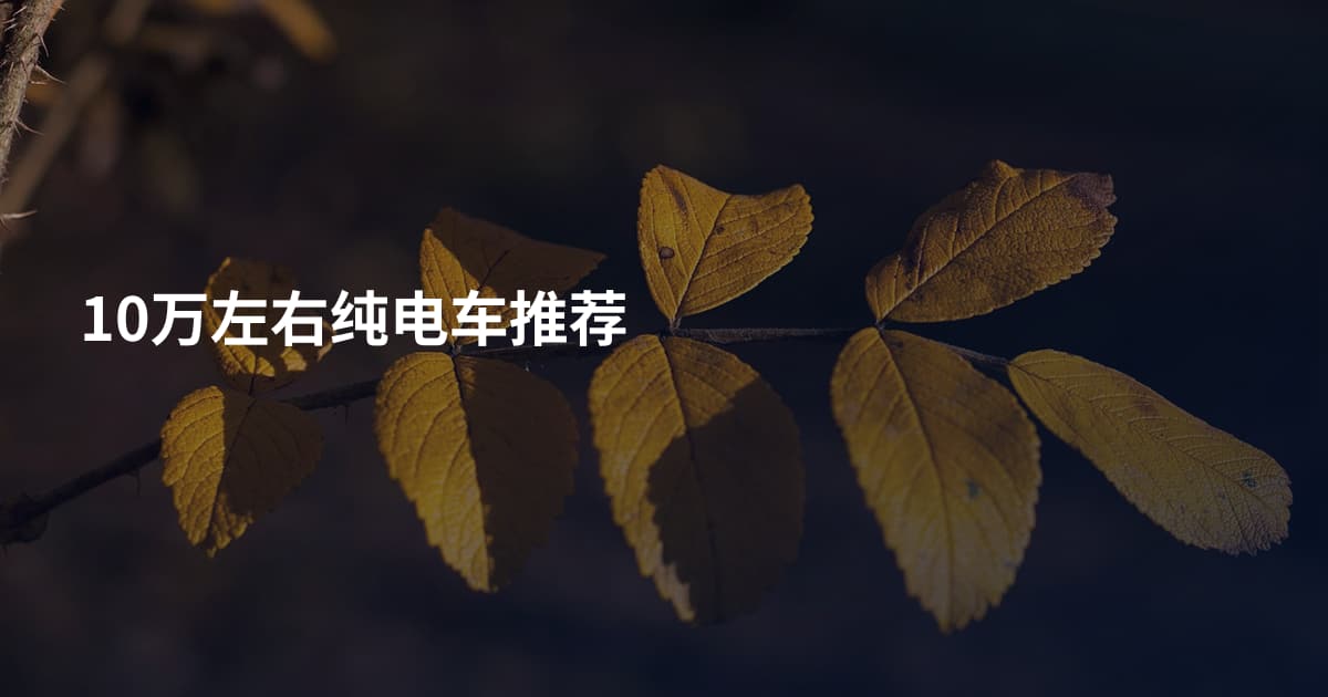 10万左右纯电车推荐