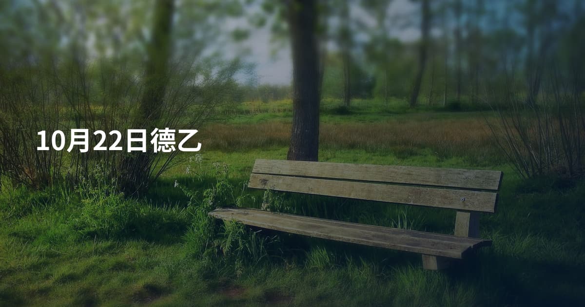 10月22日德乙