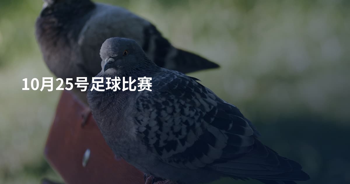 10月25号足球比赛
