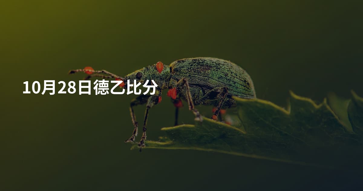 10月28日德乙比分
