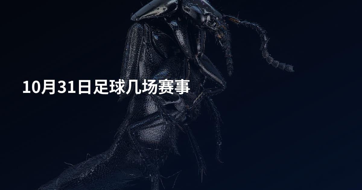 10月31日足球几场赛事