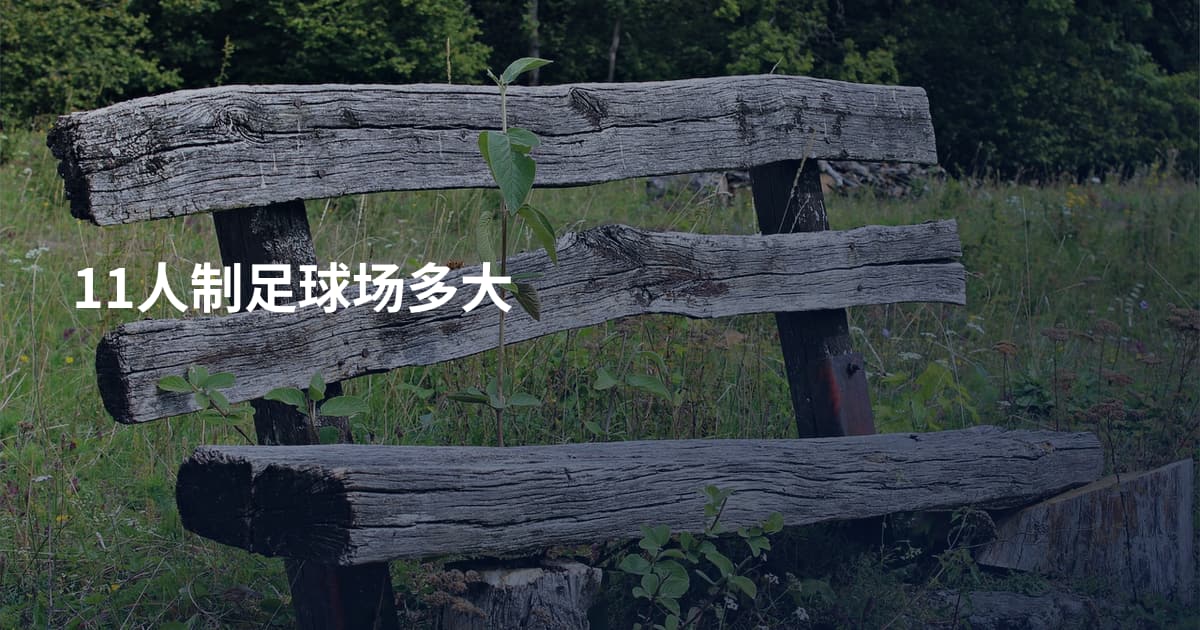 11人制足球场多大