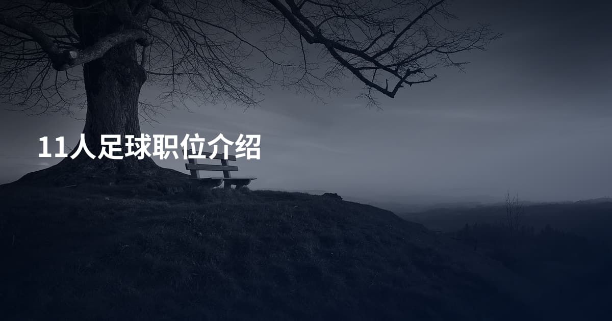 11人足球职位介绍