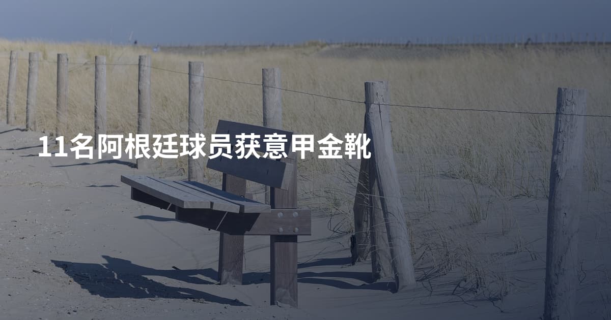 11名阿根廷球员获意甲金靴