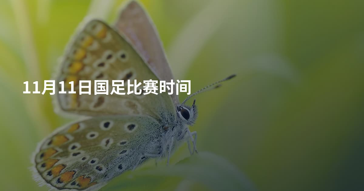 11月11日国足比赛时间