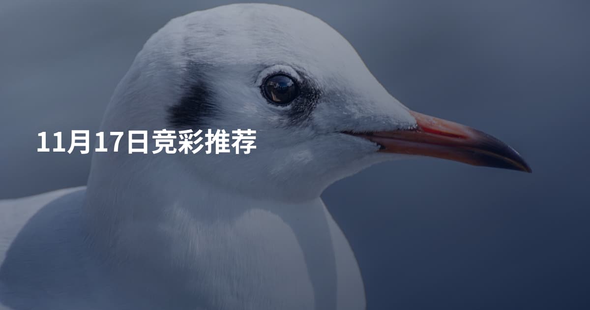 11月17日竞彩推荐