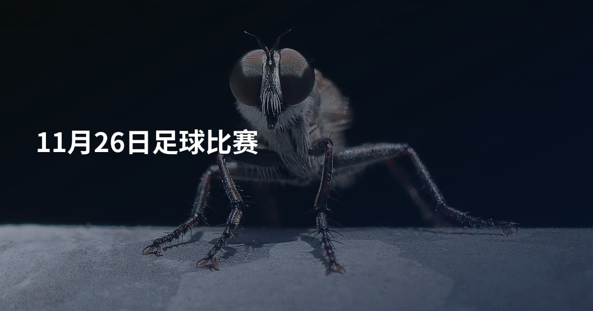 11月26日足球比赛