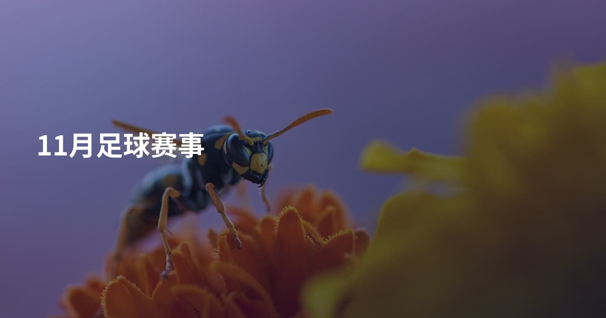 11月足球赛事