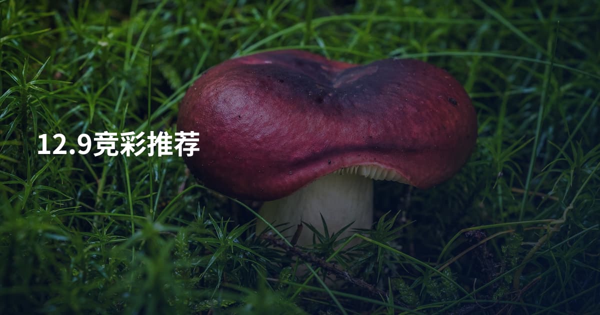 12.9竞彩推荐