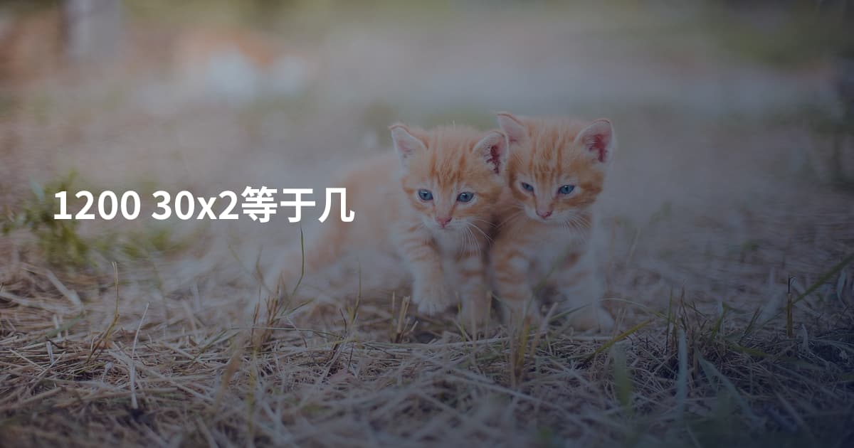 1200 30x2等于几