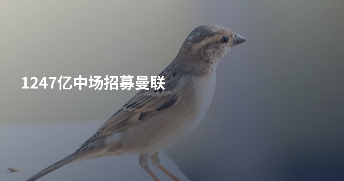 1247亿中场招募曼联