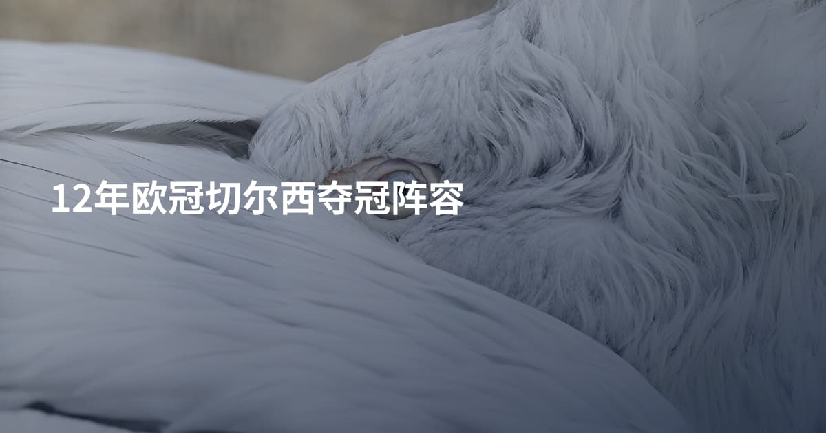 12年欧冠切尔西夺冠阵容