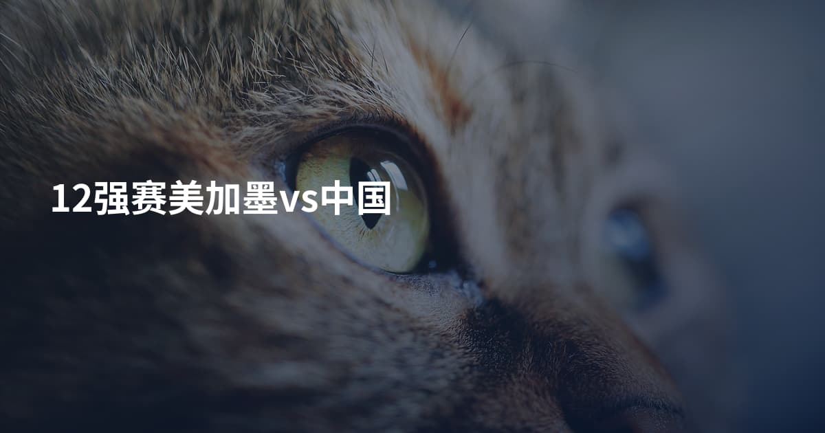 12强赛美加墨vs中国