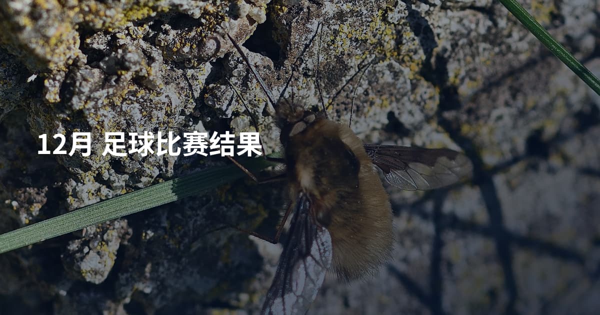 12月 足球比赛结果