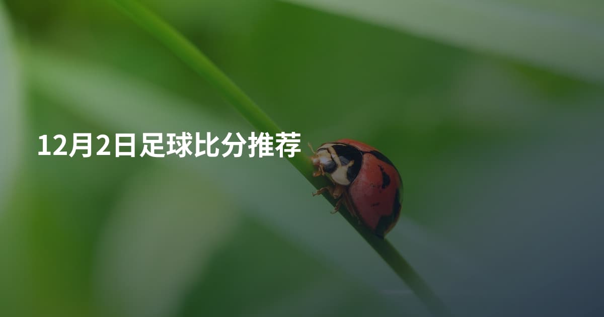 12月2日足球比分推荐