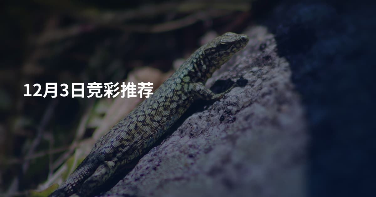 12月3日竞彩推荐