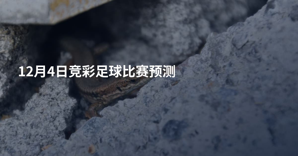 12月4日竞彩足球比赛预测