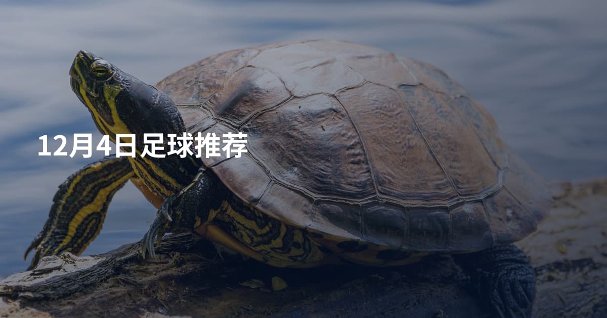 12月4日足球推荐