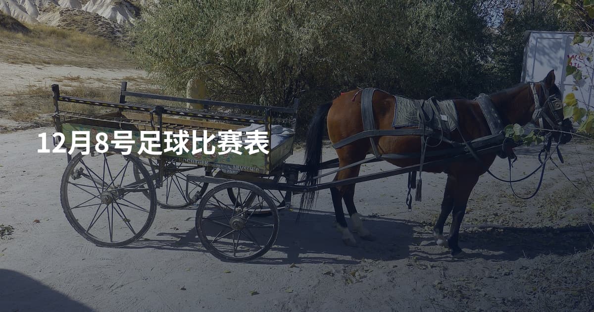 12月8号足球比赛表