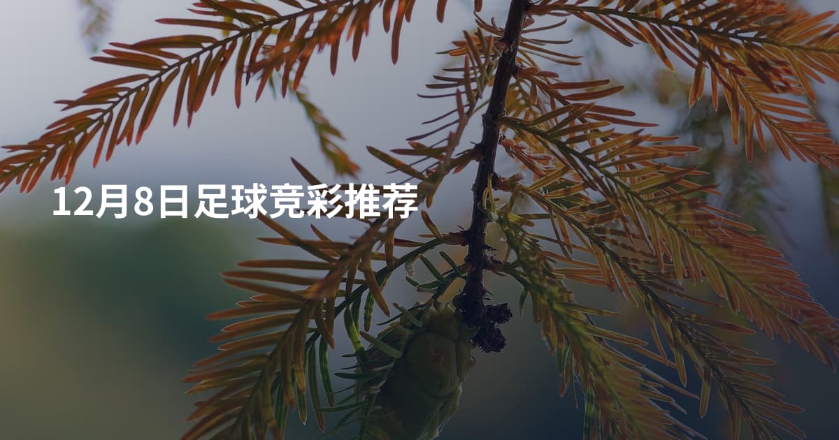 12月8日足球竞彩推荐