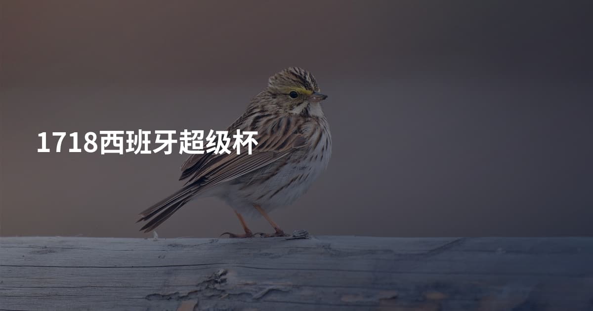 1718西班牙超级杯