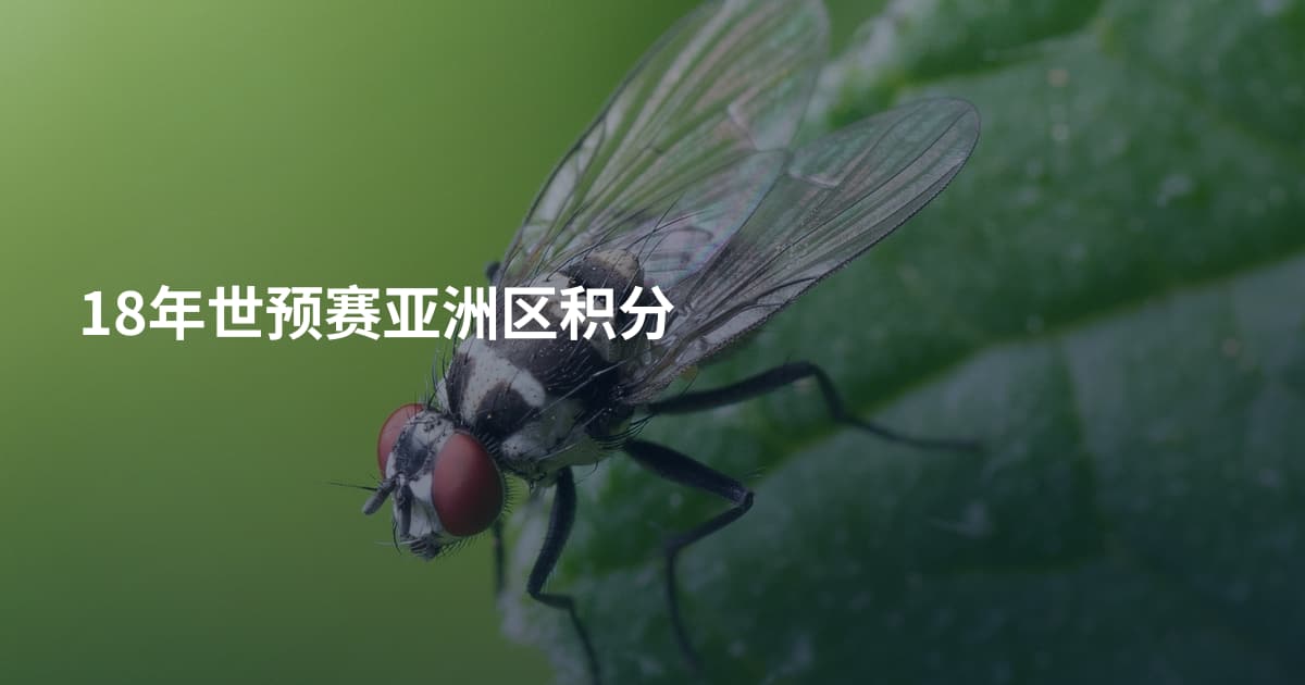 18年世预赛亚洲区积分