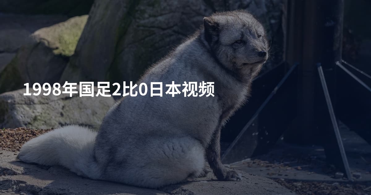 1998年国足2比0日本视频