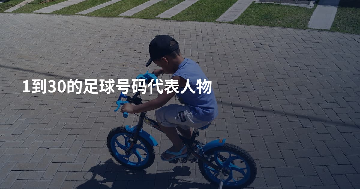 1到30的足球号码代表人物